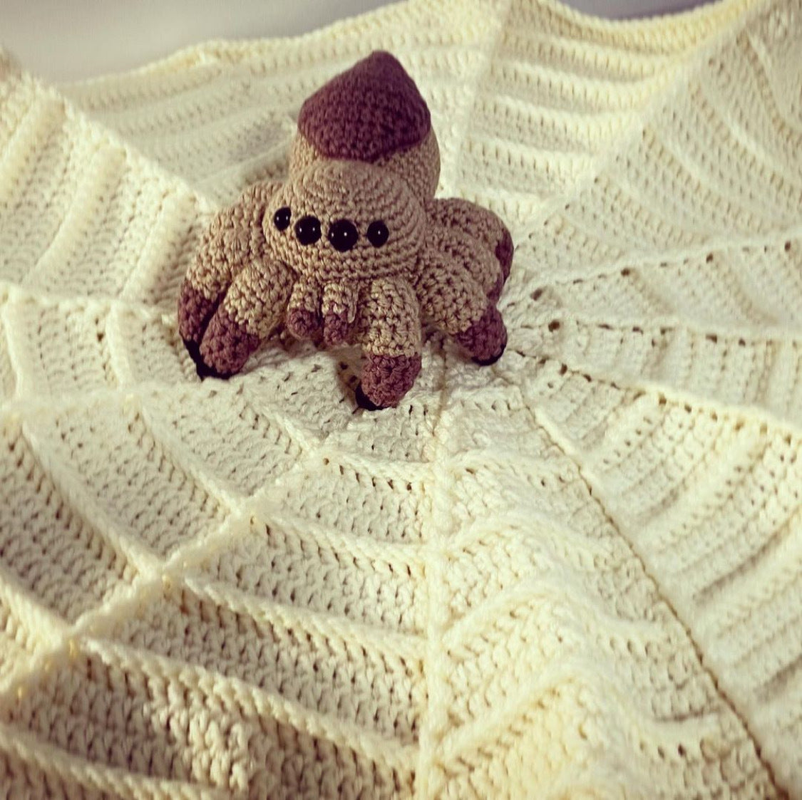 Spider and Spider Web Blanket